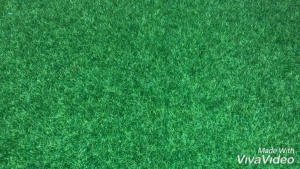 [Happy Kids] Newborn Pacifier Baby Funny Pacifier Buck Teeth Pacifier 搞怪奶嘴 龅牙奶嘴 Puting Baby - MZ-NP