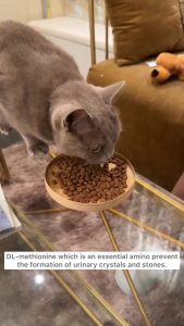 Tear Stain Off" · Herring Adult White Cat (1.5kg) Superior Care |  Natures Protection