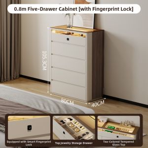 YANGYING | Minimalist Luxe Jewelry Lockable Storage Cabinet
