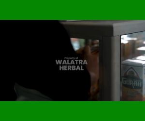 Obat Leukosit - Obat Sel Darah Putih Trombosit Rendah Tinggi Penormal Sel Darah Putih - QnC Jelly Gamat