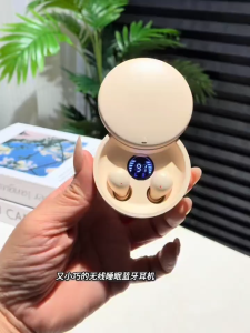 [✅SG Ready Stock] Sleep Bluetooth Headphones Mini Invisible Headphones Bluetooth 5.4 True Wireless In-Ear Earphones
