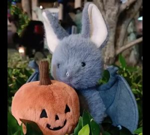 Đồ Chơi Nhồi Bông Hình Dơi Màu Xám Dễ Thương Thú Nhồi Bông Mềm Mại Gối Hình Dơi Kawaii Đồ Trang Trí Halloween Cho Trẻ Em Và Bé Trai Bé Gái