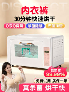 Small UV-C Ultraviolet Light Disinfection Cabinet for Underwear And Towel Drying Manicure Tools Home Use Heat Treatment
