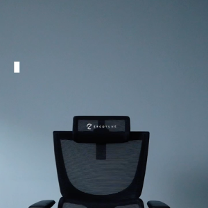 ErgoTune Supreme V3/V2.1 Ergonomic Chair - Perfect for Home Office Chair headrest Included Lumbar Support in Singapore Rated #1 Chair