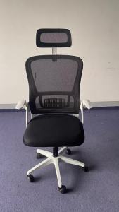 Ergonomic Office Chair for Prolonged Sitting Reclining