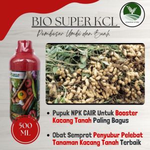COD AMAN BIO SUPER KCL 500ML Pupuk Pelebat Penyubur Tanaman Kacang Tanah Paling Ampuh - Obat Organik Cair Untuk Booster Kacang Tanah Terbaik