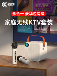 Portable Home KTV Sound System Set with Integrated Microphone for TV Singing Machine Mobile Phone And Television Compatibility