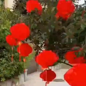 SET 5 LỒNG ĐÈN NILON MÀU ĐỎ TRANG TRÍ TẾT (NHIỀU KÍCH THƯỚC)