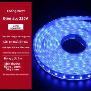 JUYU | Đèn LED Dải RGB Chống Nước 24V
