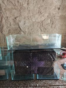 aquarium akuariumini 30x10x10aquarium termurah aquarium mini aquarium Guppy aquarium cupang aquarium ikan cupang aquarium kaca soliter cupang soliter cupang soliter kaca aquarium chana aquarium termurah