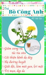 Trà Bồ Công Anh - 40 túi lọc lợi sữa giảm tắc tia sữa mát gan giảm mụn hạ đường huyết - Trà Đông Y Việt