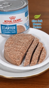 Royal Canin Starter Mousse Mother & Babydog 195g Wet Dog Food | Size Health Nutrition Canned Food for Pregnant Lactating Dogs and Weaning Puppies up to 2 Months Old | Ultra Soft Mousse for Immune & Digestive Microbiome Support [New Stock]