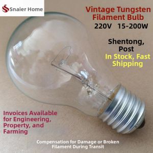FEIZHUXIANSEN | Dimmable Sound-Controlled Incandescent Bulb 220V