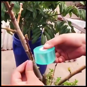 200m Self Adhesive Grafting Tape PVC Plant Grafting Tools Silk Film Bind Belt Grafting Garden Tools