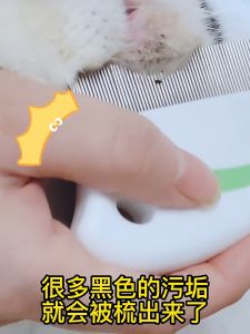 Pet comb Cat flea comb to remove floating hair mouth hair black chin needle comb kitten comb cat special brush pet hair comb