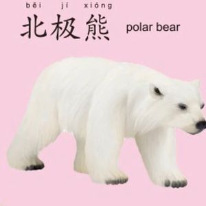 Flashcard Mainan Kartu Edukasi Kartu Belajar Kosa Kata English Mandarin Kartu Menghafal Gambar