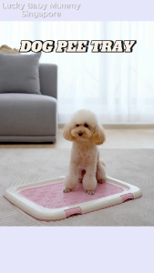 Petbest Pet Toilet Pee Tray with Removable Grid Training Pad Holder/Washable Toilet【Rainbow Culture】