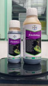 Zat aktivator AMBITION tanaman pembenah tanah dari Bayer INDONESIA