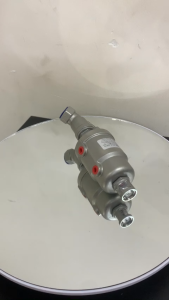VAN ĐIỀU KHIỂN KHÍ NÉN INOX KIỂU BLCH– ZF-C