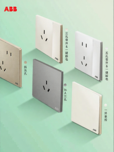 ABB | Dual Control AC Suitable Wall Socket 86 Type
