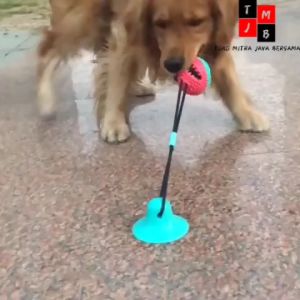 Mainan Hewan Peliharaan Gigitan Bola Anjing Kunyah Gigitan TPR Molar Suction Tempel Dog Main