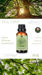 Tea Tree Essential Oil - น้ำมันต้นหอมระเหยทีทรี ขนาด 20 ml
