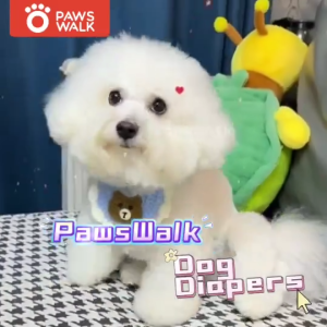 PawsWalk Pet Diaper Female Male Japan Dog Diaper XXS/XS/S/M/L/XL