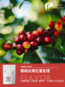 Yunnan Classy Cooked Coffee Beans Real Red Cherry Honey Processing Mellow Import New Beans Freshly Ground Black Italian American Hand Punch