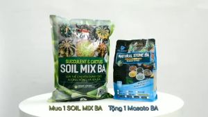 [HCM] Đất Soil Mix BA 65dm³ - đất trộn sẵn trồng sen đá xương rồng hương thảo giá thể hữu cơ tơi xốp nguyên liêu ngoại nhập