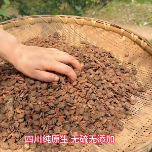 Premium Red Danshen Slices Salvia Miltiorrhiza Natural Sulfur-free Dried Chinese Herb for Blood Circulation and Menstrual Regulation