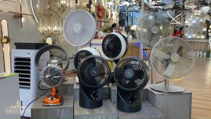 ALPHA Motto dt C11 Portable Desk Fan 6-Inch Blades with 3-Speed and Multi-Angle Oscillation