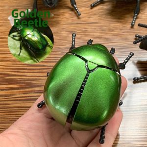 WOWEIAOKUANG | 3D Climbing Simulation Insect Toy