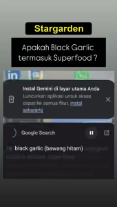 Black Garlic 250gr Bawang Putih Lanang TUNGGAL Hitam ukuran Besar-Jumbo PREMIUM ( 1 B )