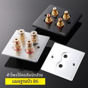 High-End 86 ประเภทอลูมิเนียม Frosted แผง HiFi Banana Head ลําโพง 2 ตําแหน่ง หนาขึ้น Audio Visual อุปกรณ์เสริม