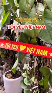 Băng Rôn Cờ Vẫy Tôi yêu Việt Nam mừng ngày 2/9 Băng rôn cổ động bóng đá vải phi bóng đẹp