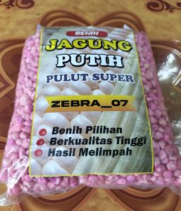 GROSIRRR 1 KG BIJI BENIH JAGUNG PUTIH KETAN UNGGUL