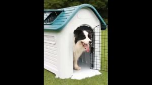 All-Season Large-Dog Indoor/Outdoor Dog House with Enhanced Durability and Large Storage Space Kennel Doghouse