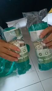 Garden Plants Trees Vineyards Fruit Protection Nets/orchard Bird Protection Nets/fences Agricultural Nets