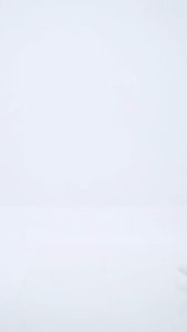 Denim Otsky X Cavier Celana Jeans All Varian Basic Reguler Fit