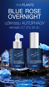 SKINPLANTS BLUE ROSE OVERNIGHT SERUM เซรั่มลดอายุผิว จัดการ Zombie Cell ดูแลริ้วรอย