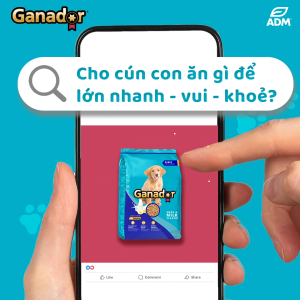 [Combo túi 3kg x 2] Hạt Ganador cho Chó mọi lứa tuổi đầy đủ hương vị giá SHOCK | Pets Warehouse