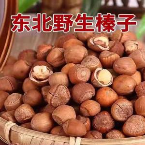 Wild Open Shelled Hand-Cracked Hazelnuts Thin Shell