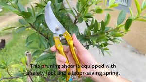 GUNTING DAHAN 8 INCH GUNTING KEMBANG 8 DIM BAGUS GUNTING STEK 20CM GUNTING KEBUN