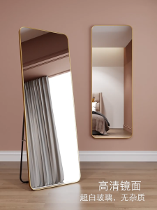 TURTLE Standing Mirror Full Size Body Mirror Full Length Floor Mirror with Stand Room decor