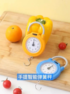 B.LIVEM 10 Kg Spring Hanging Portable High-precision Weighing Color Multi-functional Hand-held Spring Scale