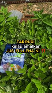 JUS FULLENA ORIGINAL HQ MINUMAN HERBA TRADISIONAL BERKUALITI TINGGI & PREMIUM