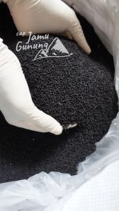 Jintan Hitam 500gr atau Habbatussauda Asli - Hitam Pekat !