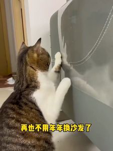 Durable Anti-scratch Solutions for Your Home: Cat Scratch Deterrents & Sofa Protectors