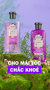 Dầu Gội - Dầu Xả HERBAL ESSENCES Tinh Chất Thực Vật Thật Argan Morroco/ Dâu Trắng Bạc Hà/ Hương Thảo & Thảo Mộc - Chai 400ML