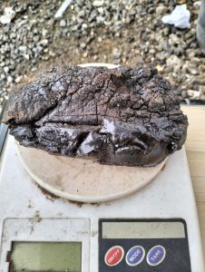 getah padat gaharu super grad a 100grm